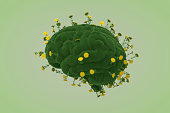 Brain shape with grass and flower, thinking climate change sustainable energy