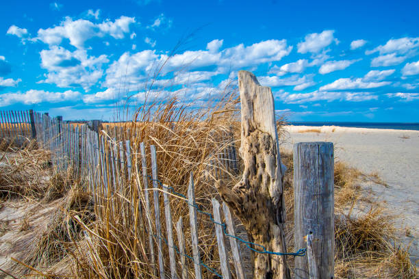 istock Beach landscape with fence 1383965654
