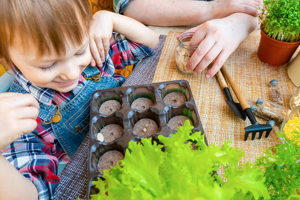 istock boy plants pumpkin seeds, takes them from his grandmother's hand 1383966708