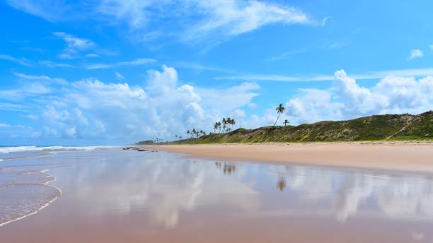 istock Massarandupio beach  Bahia 1383970898