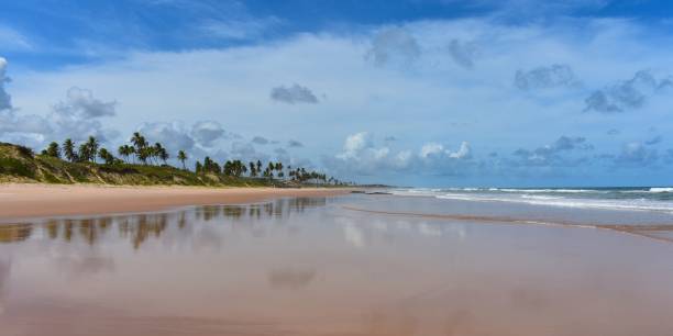 istock Massarandupio beach  Bahia 1383970908
