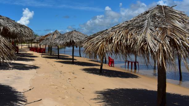 istock Peninsula de Siribinha Bahia beach 1383971014