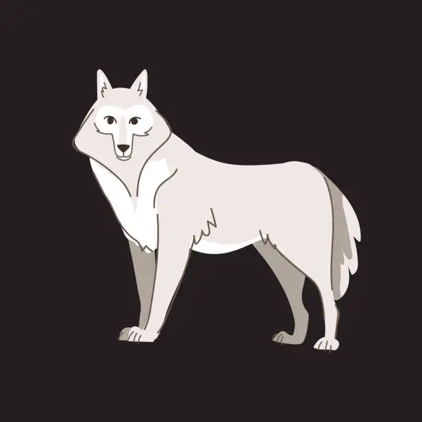 Vector illustration of White wolf standing. Wild animal character. Vector Illustration isolated on black background