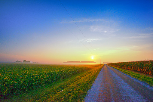 Country Road through crop fields at Sunrise-Howard County, Indiana