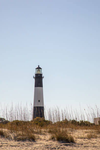 istock Tybee Island Lighthouse on dunes 1383974938