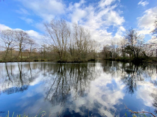 istock A view of Burton Mere Wetlands 1383976040