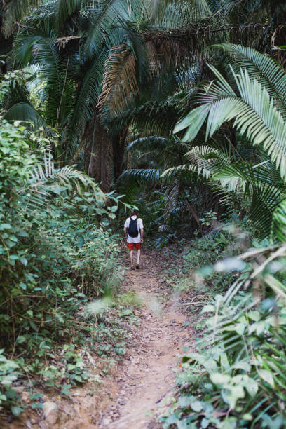 istock Hiking in the juggle 1383977273