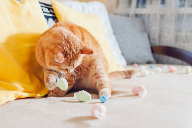 istock Playful cute ginger cat playing with Easter eggs at home. Pet having fun on couch. Spring holiday symbol 1383977436