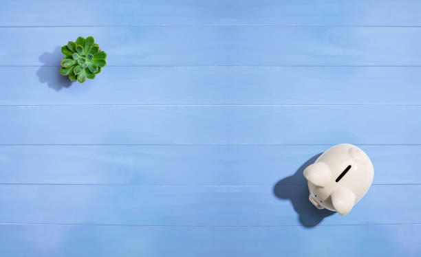 istock A white piggy bank overhead view 1383977523