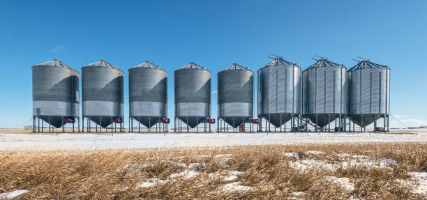 caixas de grãos na pradaria - prairie farm winter snow - fotografias e filmes do acervo