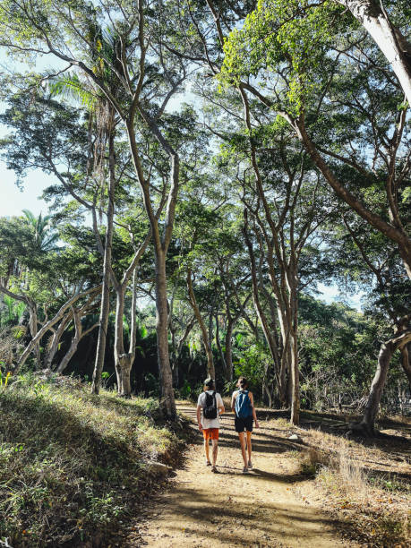 istock Young couple hiking 1383977803
