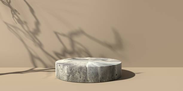 istock Abstract 3D render of podium with shadow of tree branch 1383978773