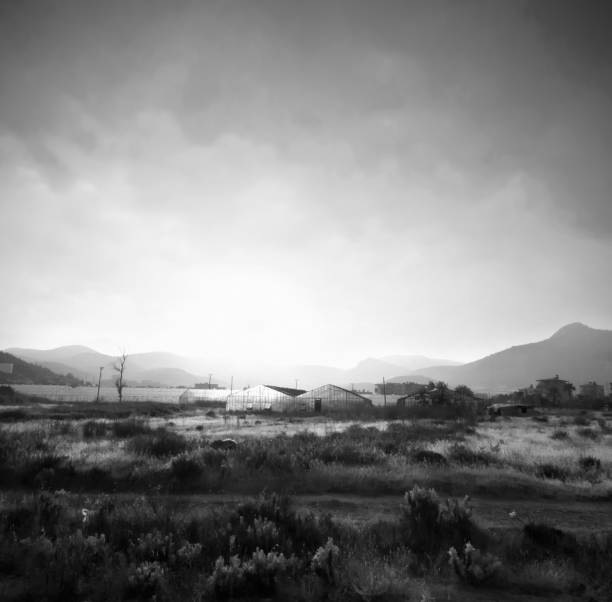 istock black and white infrared photography 1383978978