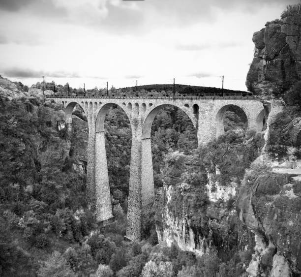 istock black and white infrared photography 1383979552