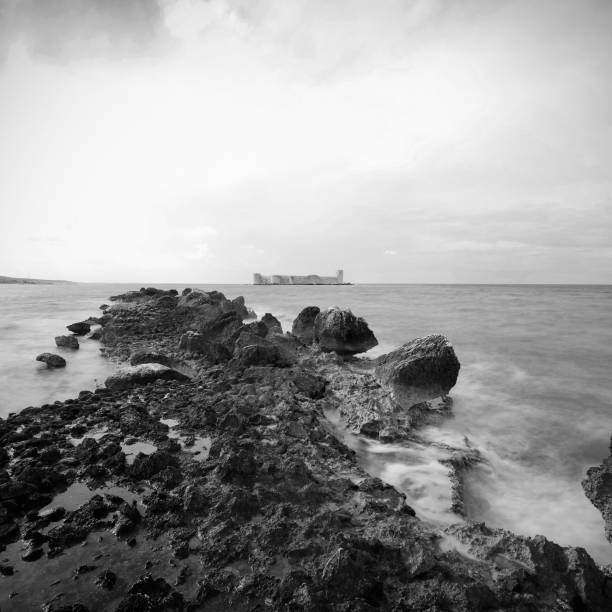 черно-белая инфракрасная фотография - black and white landscape square long exposure стоковые фото и изображения