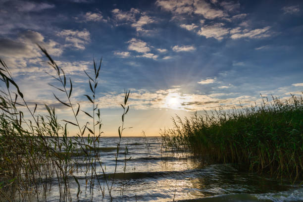 light wind drives the waves to the beach. The reeds blow in the wind and the setting sun immerses everything in a warm yellow