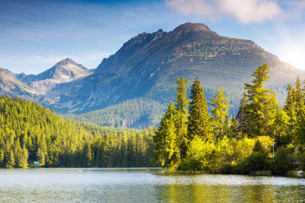 istock lake in the mountains 1383985824