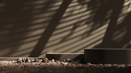 Shadows nature in empty room, tropical leaf shadow, geometric product display podium steps and stone 3d rendering backdrop