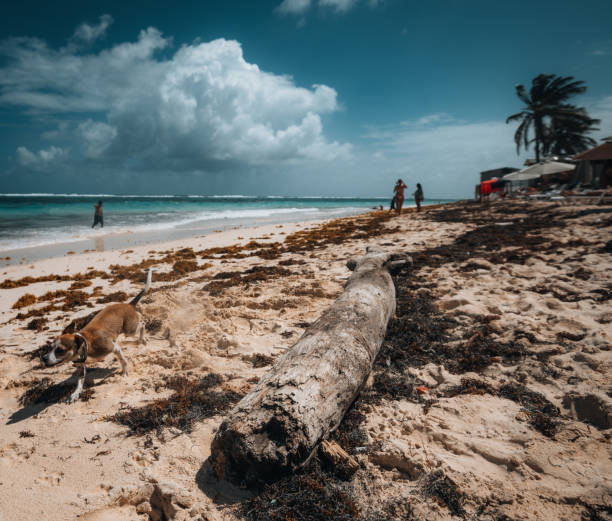 Coastal line of white sand in San Andres, Playa San Luis, Colombia. Summer holiday vacation concept
