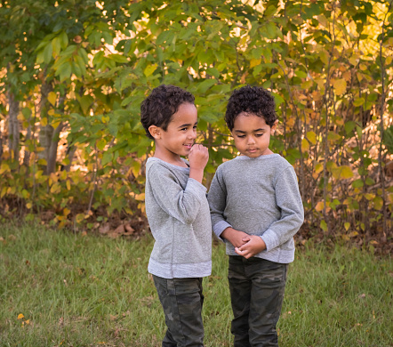 Cute African American twin boys talking in park; green bushes in background