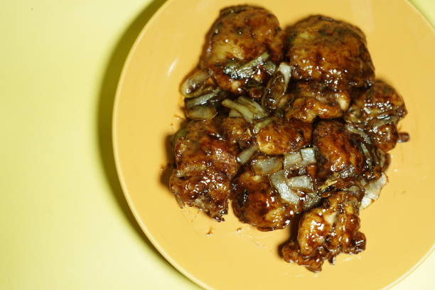soy sauce chicken - fine dining grilled spring onion healthy lifestyle imagens e fotografias de stock