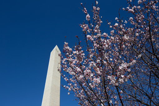 The National Mall in the District of Columbia