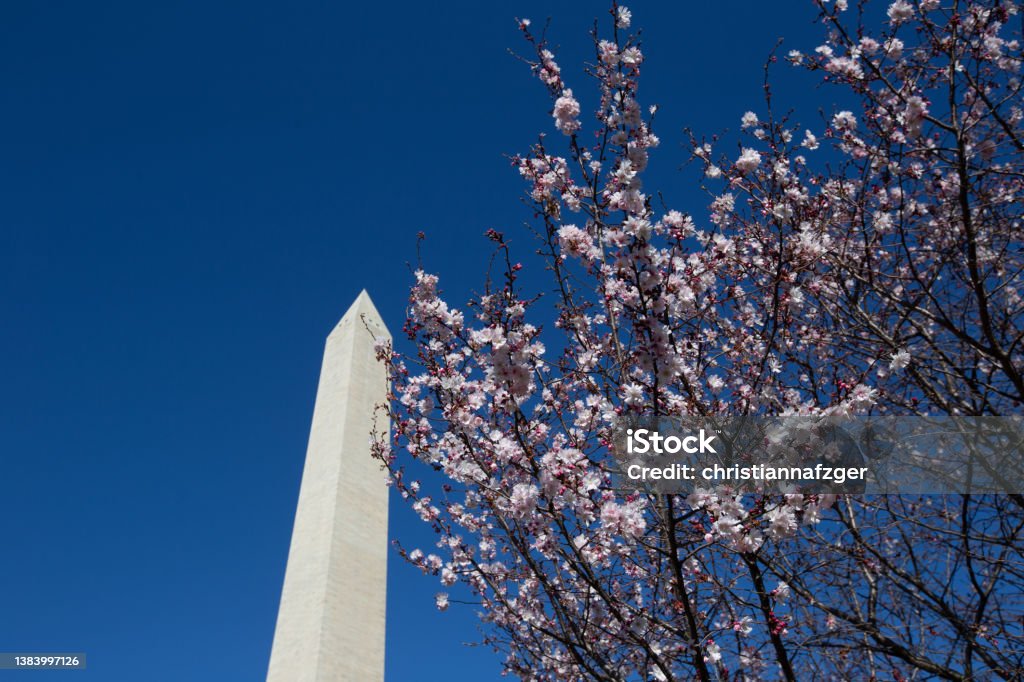 Washington Monument in Washington, D. C. The National Mall in the District of Columbia Washington DC Stock Photo