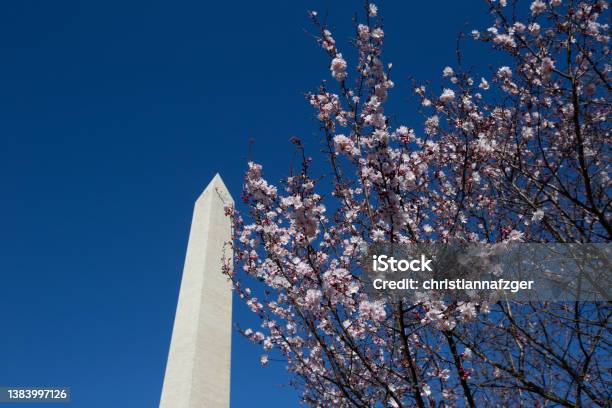Washington Monument In Washington D C Stock Photo - Download Image Now - Washington DC, USA, Washington Monument - Washington DC