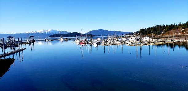 istock Late afternoon at the Harbor 1383997557