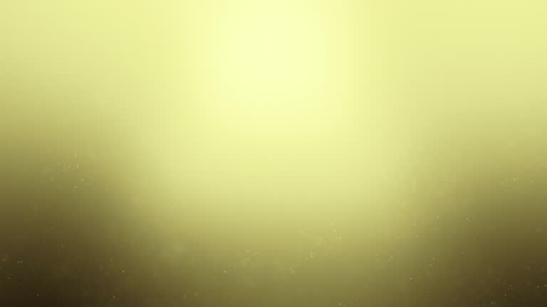 4k Yellow Soft Underwater with Sun Rays and Seaweeds Particle loopable stock video