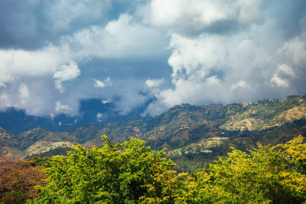 Jungle mountains. Kingston, Jamaica