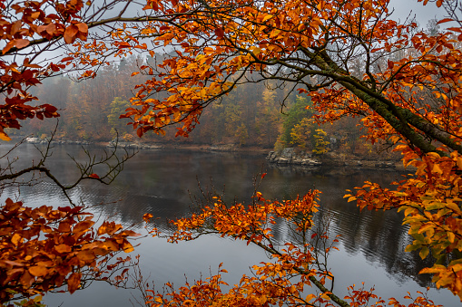 Foggy Landscape With Calm Lake And Autumnal Forest At Lake Ottenstein In Austria