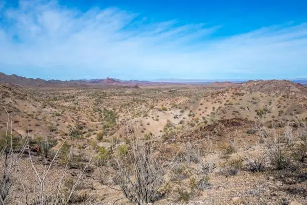 An overlooking view of nature along Quartzsite, Arizona in Quartzsite, Arizona, United States