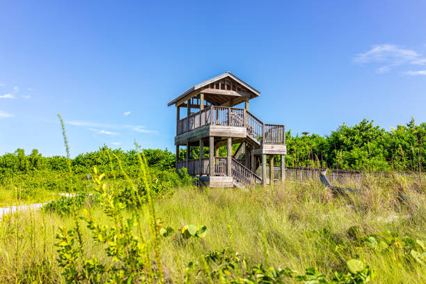 marco island perto de nápoles flórida no condado de coller com edifício de torre de madeira na lagoa de acesso tigertail beach em dia ensolarado de verão sem ninguém na paisagem tropical - collier county - fotografias e filmes do acervo