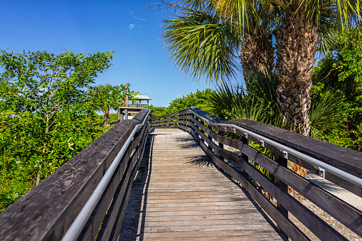 Marco Island near Naples Florida in Coller County with wooden boardwalk path to Tigertail Beach access lagoon on sunny summer day with nobody in tropical landscape
