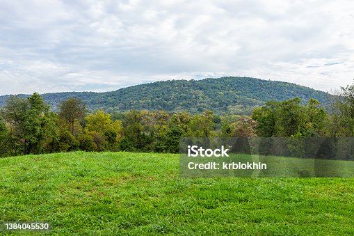 istock Apple orchard with rows of fruit trees in farm garden autumn fall season countryside in Virginia with green leaves and rolling hills blue ridge mountains cloudy sky 1384045530