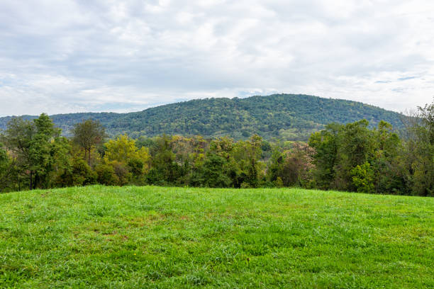 Apple orchard with rows of fruit trees in farm garden autumn fall season countryside in Virginia with green leaves and rolling hills blue ridge mountains cloudy sky Apple orchard with rows of fruit trees in farm garden autumn fall season countryside in Virginia with green leaves and rolling hills blue ridge mountains cloudy sky deciduous tree stock pictures, royalty-free photos & images