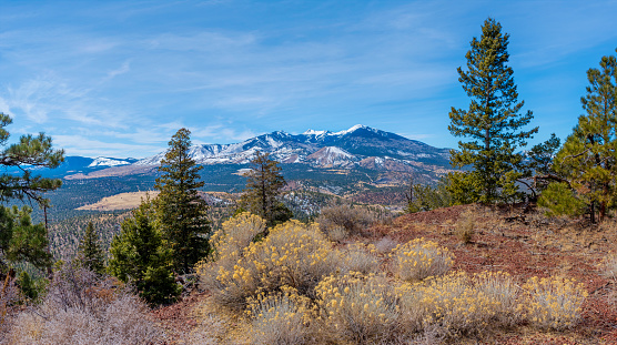 Views from the roadside of the mountain during a drive through the park. Peter Lougheed Provincial Park