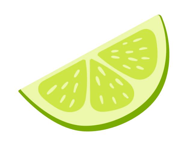 Lime slice vector illustration isolated on white background Lime slice vector illustration isolated on white background. lime stock illustrations