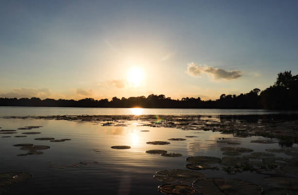 istock Sunshine Cove 1384056505