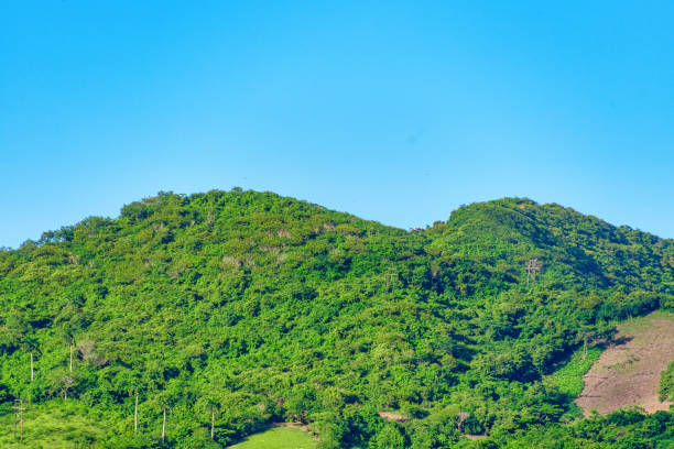istock Tropical Scenics In Daytime 1384060188