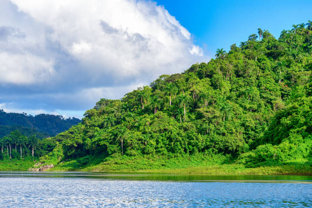 istock Tropical Scenics In Daytime 1384060203