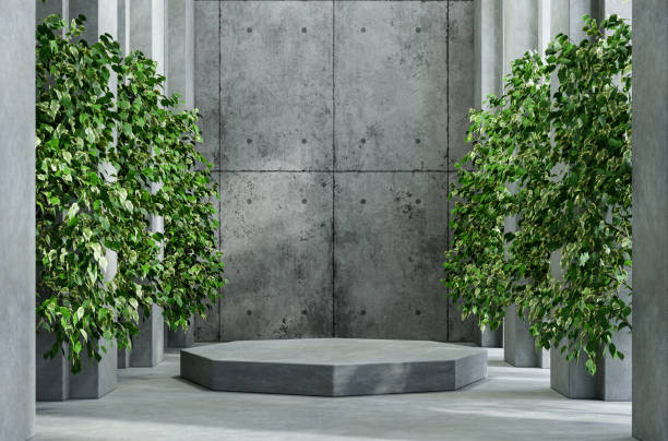 istock Mock up concrete podium for product presentation with tree and a cement background. 1384064143