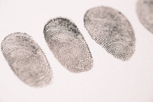 istock different black fingerprints on a paper close up , 1384091749
