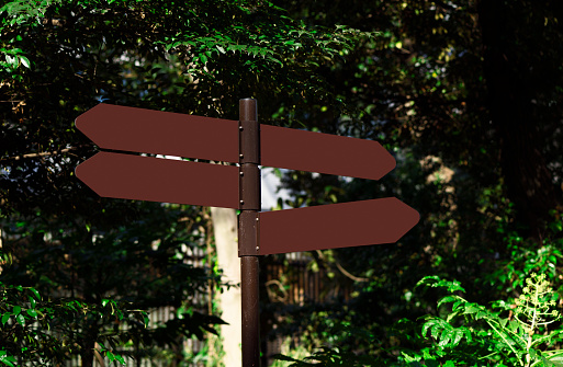 Blank arrow sign in the forest with copy space.