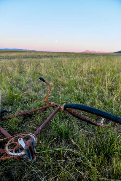 Rusty abandoned bicycle in grass stock photo