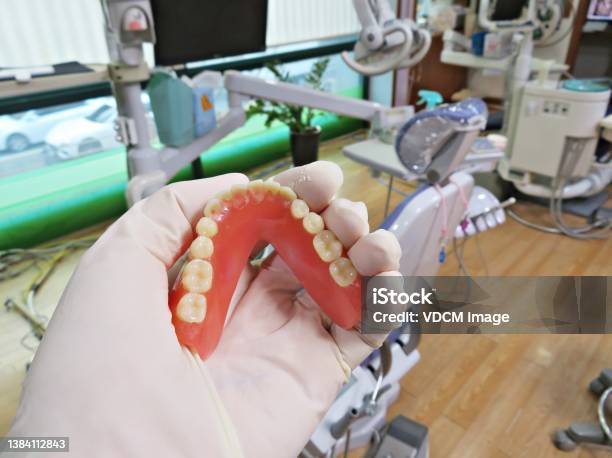 Full Denture In Dentists Hand Stock Photo - Download Image Now - Dentures, Implant, Artificial
