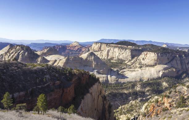 istock Zion National Park West Rim Scenery 1384129096