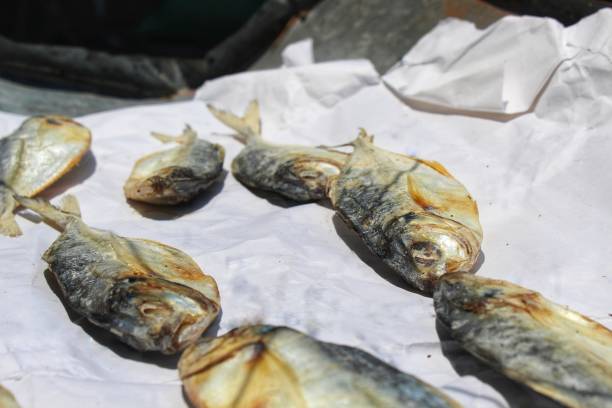 istock salted fish being dried in the sun 1384130872
