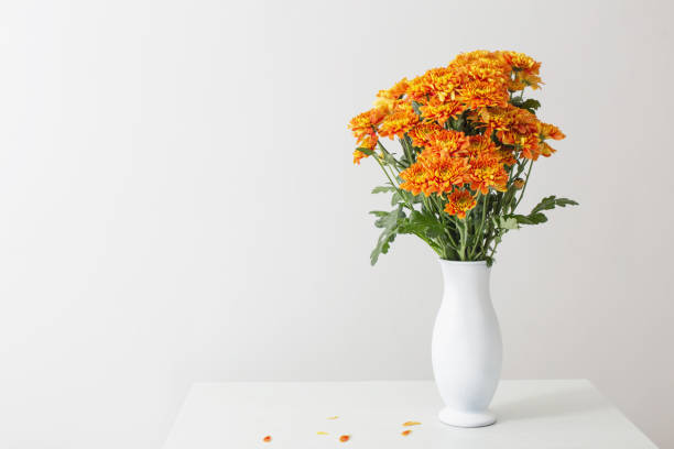 istock orange   chrysanthemums in  white  vase on white background 1384131820